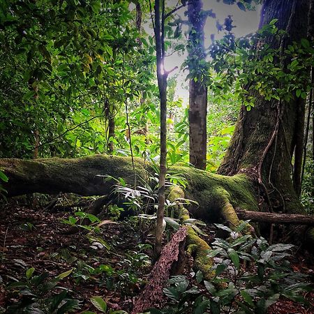 El Remanso Rainforest Lodge Puerto Jiménez Esterno foto