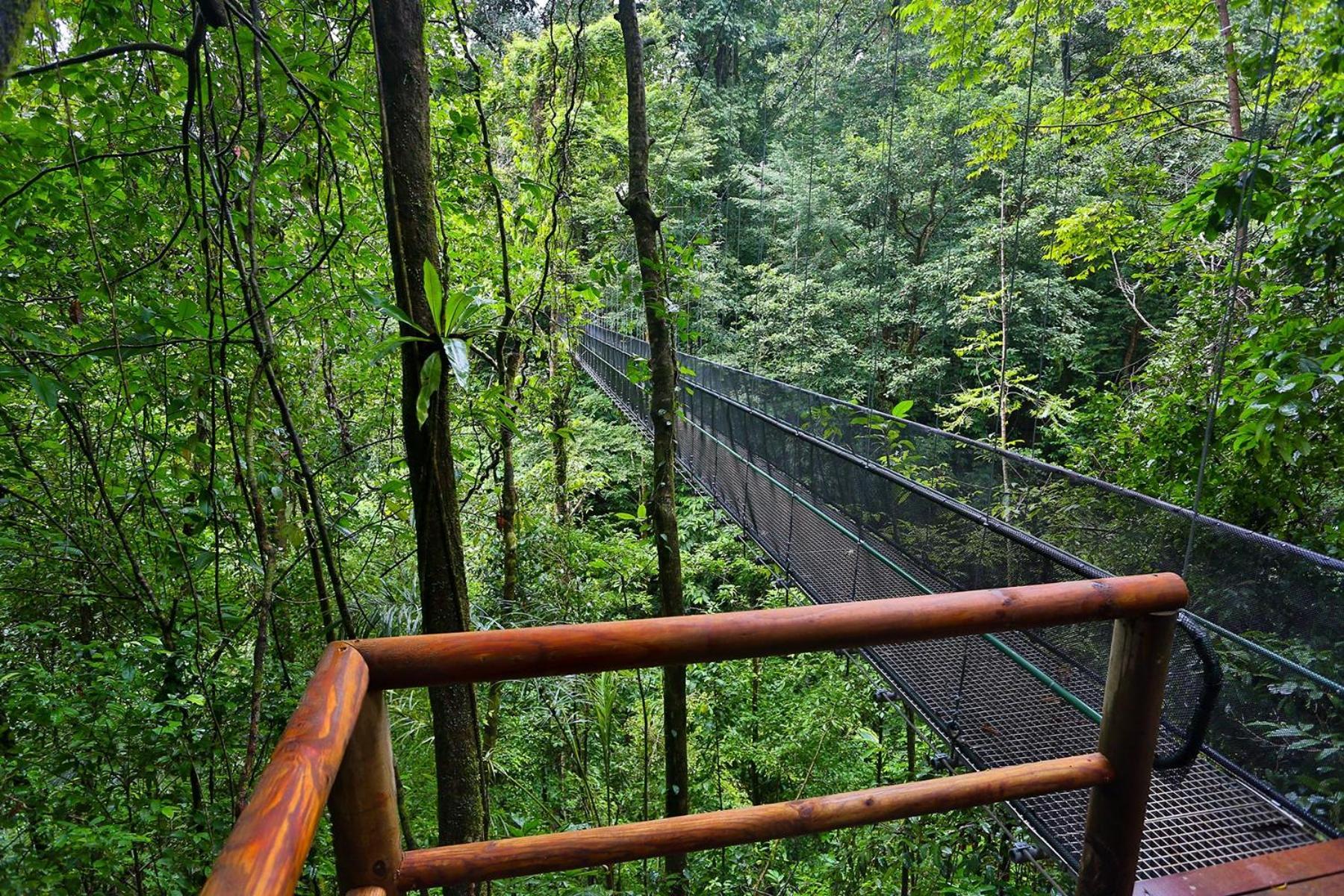 El Remanso Rainforest Lodge Puerto Jiménez Esterno foto
