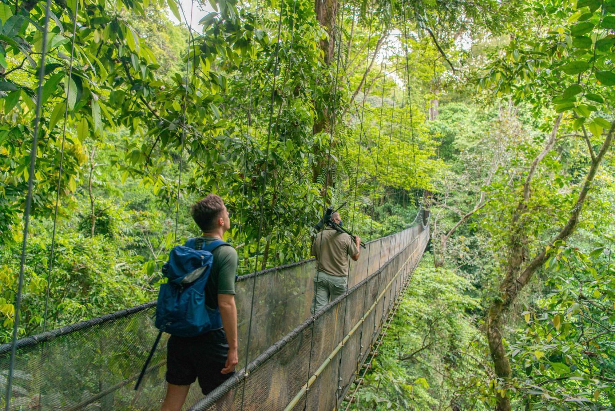 El Remanso Rainforest Lodge Puerto Jiménez Esterno foto