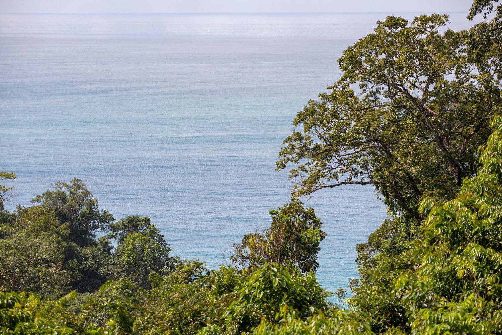 El Remanso Rainforest Lodge Puerto Jiménez Esterno foto